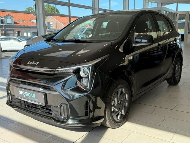 Kia Picanto Vision Navi/Klima/Sitzhzg. Park-Assist.