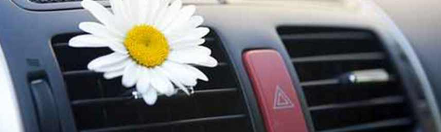 Klimaanlagen-Service